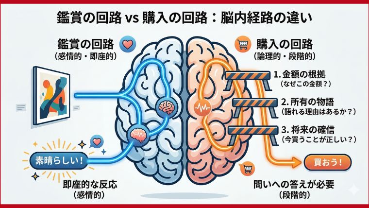 鑑賞の回路VS購入の回路